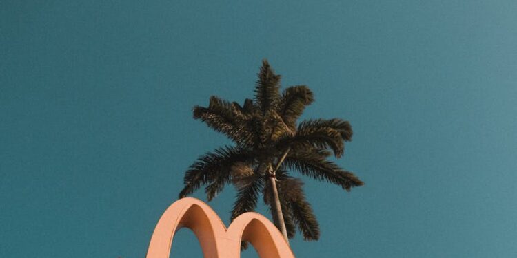 Logo of Animoca Brands and Somo, symbolizing the acquisition in Web3 gaming landscape.