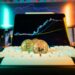 Bitcoin logo displayed prominently with fluctuating crypto charts in the background.