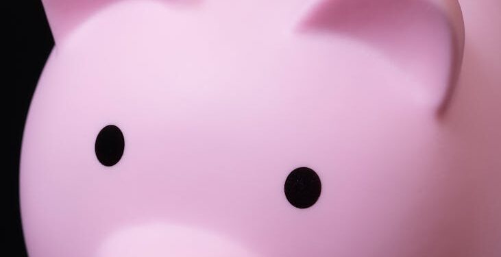 Bitcoin coins with a rising graph, symbolizing ETF stability and notable inflows.