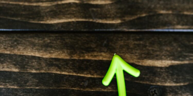 Takaichi celebrates with supporters, symbolizing a positive shift in Japan's crypto regulations.