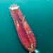 Oil tankers navigating the Strait of Hormuz, symbolizing Iran's yuan oil payment strategy.
