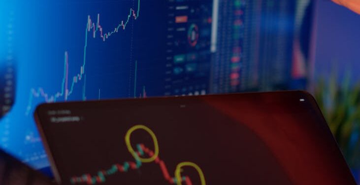 A person analyzing a Bitcoin chart on a laptop, showing recent price fluctuations.