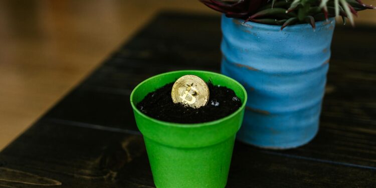 Cryptocurrency symbols overlaid on a map of North Korea, highlighting illicit finance.