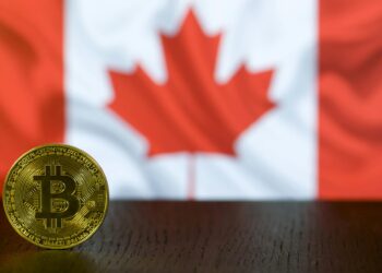 A graphic showing a digital currency symbol with a blurred Canadian flag in the background.