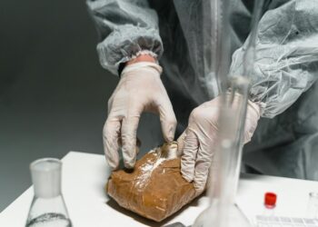 CIA agents at a crash site after a raid on a drug lab in Mexico.