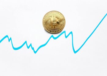 Large whale symbol with a backdrop of cryptocurrency charts and HYPE tokens graphic.